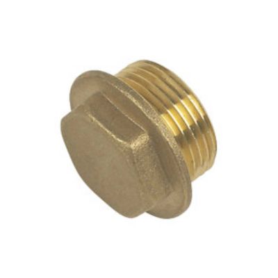Brass Flanged Plug
