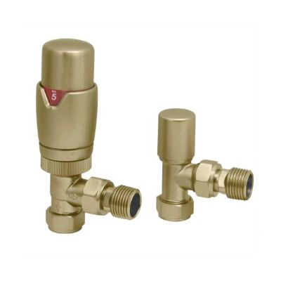 DELUXE TRV + LOCKSHEILD BRUSHED BRASS ANGLED